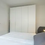 Montfort Apartmán *
